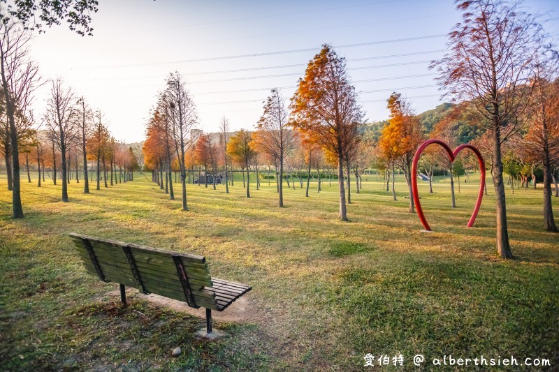 桃園落羽松大溪河濱公園（三愛心造景必拍，大草坪讓你愜意悠閒的野餐） @愛伯特