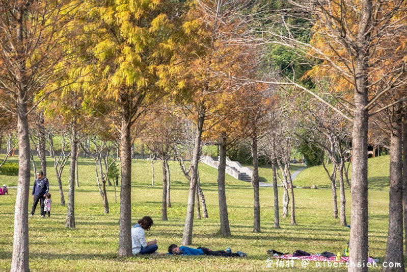 桃園落羽松大溪河濱公園（三愛心造景必拍，大草坪讓你愜意悠閒的野餐） @愛伯特