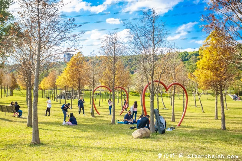 桃園落羽松大溪河濱公園（三愛心造景必拍，大草坪讓你愜意悠閒的野餐） @愛伯特