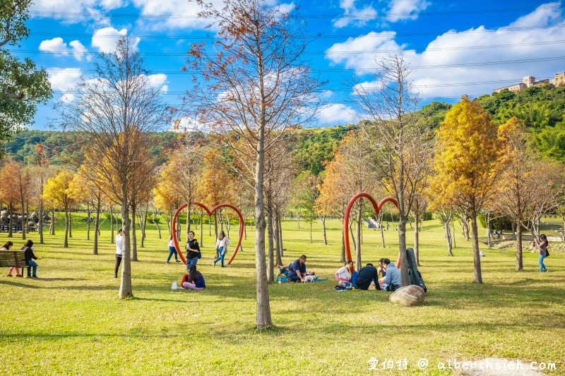 桃園落羽松大溪河濱公園（三愛心造景必拍，大草坪讓你愜意悠閒的野餐） @愛伯特