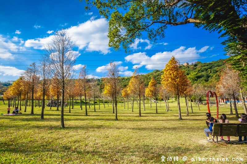 桃園落羽松大溪河濱公園（三愛心造景必拍，大草坪讓你愜意悠閒的野餐） @愛伯特