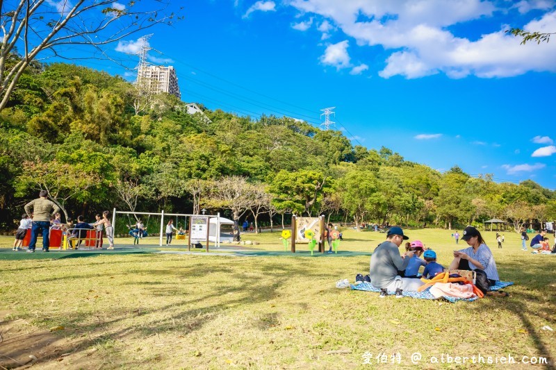 大溪河濱公園．桃園親子景點（腹地廣大的綠地公園以及共融式遊具兒童遊樂場） @愛伯特