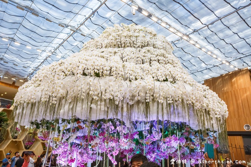 后里馬場．台中花博（花舞館看蘭花/故宮館看翠玉白菜/欣賞馬術表演） @愛伯特