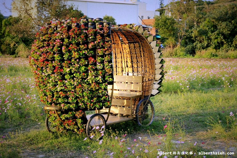 【無料花賞】桃園蘆竹．幸福花海季（被花包圍的感覺真幸福） @愛伯特