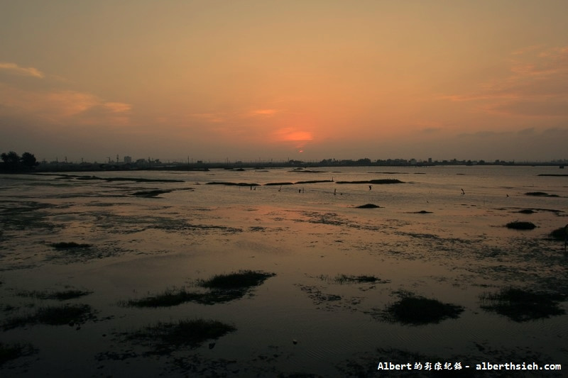 【濕地】雲林口湖．成龍濕地&#038;成龍集會所（擁有美麗夕陽以及彩色魔幻的藝術漁村） @愛伯特