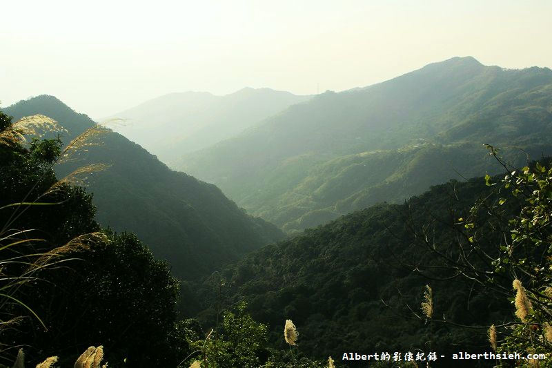 桃119線山櫻花．桃園復興成福道路（山景配山櫻讓眼睛放鬆一下） @愛伯特