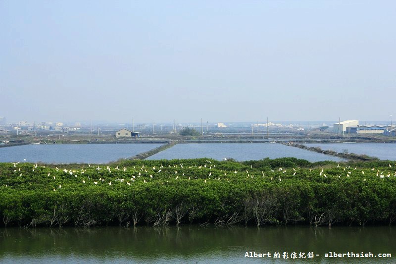 【彰化一日遊】彰化閃爍西南角．土地生活節（與漁民和蚵農體驗靠海生活的日子） @愛伯特