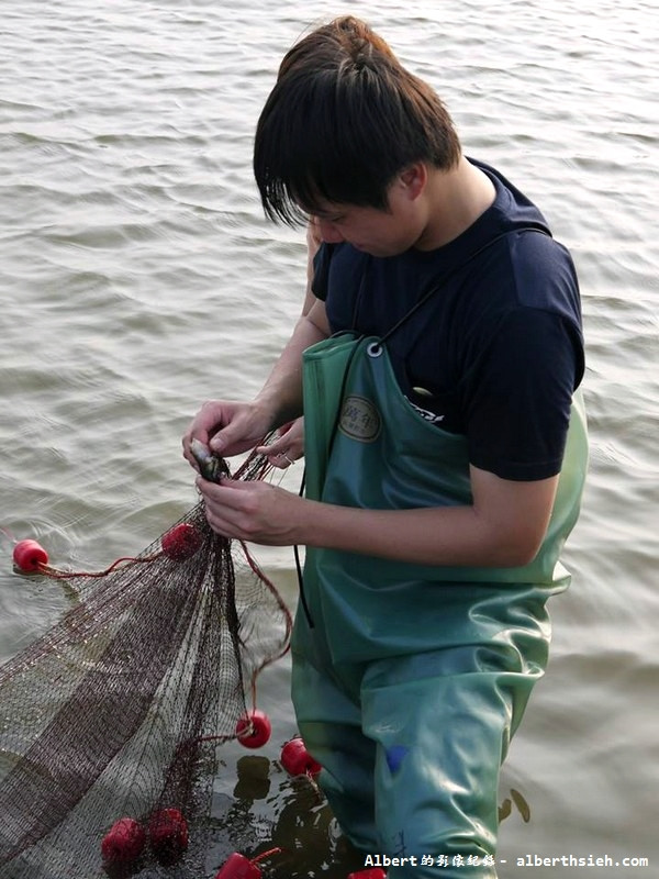 【漁民體驗】彰化芳苑．哈哈漁場（親自體驗下水抓魚摸文蛤超好玩） @愛伯特