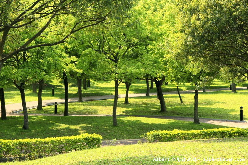 大溪埔頂公園．桃園親子景點（萬坪綠地，橫跨北二高，還有超夯的滾輪溜滑梯） @愛伯特