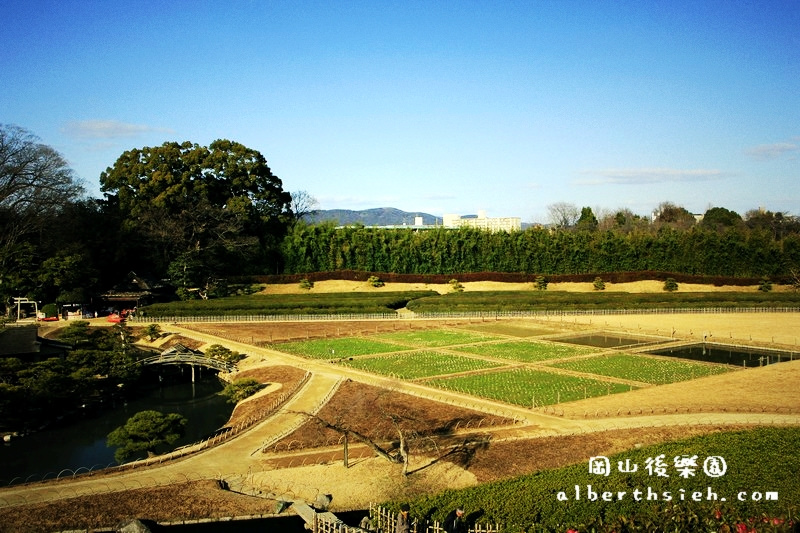 岡山後樂園．日本岡山景點（江戶時代的大名庭園之一） @愛伯特