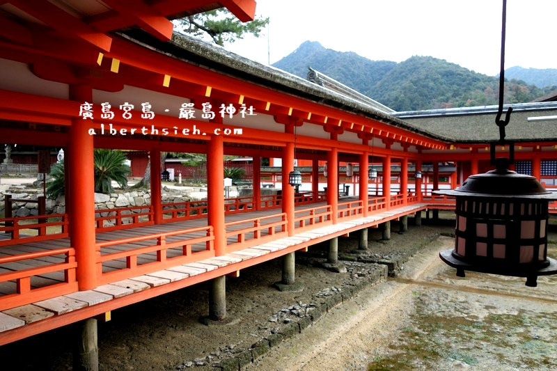 宮島嚴島神社&#038;大鳥居．廣島必訪景點（世界文化遺產，日本三景之一） @愛伯特