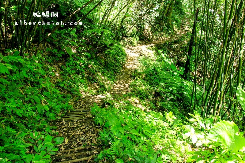 三民蝙蝠洞．桃園復興景點（清幽僻靜避暑戲水好去處） @愛伯特