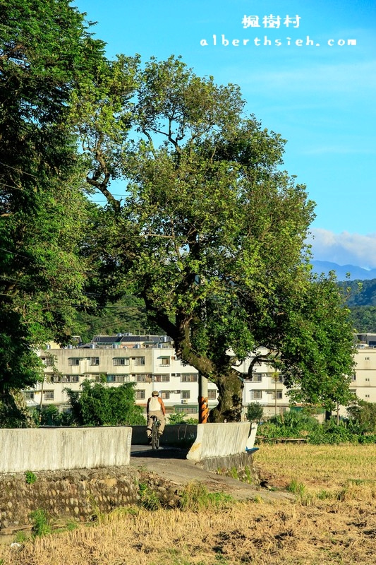 桃園龜山景點．楓樹村（楓樹坑伯朗大道之田野風光桃園版） @愛伯特