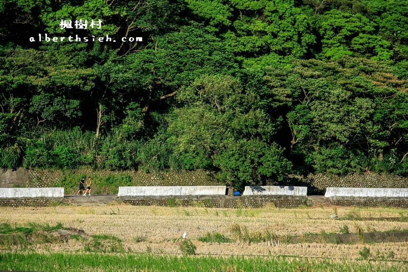 桃園龜山景點．楓樹村（楓樹坑伯朗大道之田野風光桃園版） @愛伯特