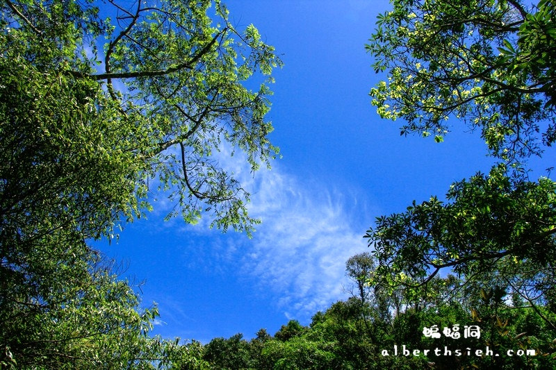 三民蝙蝠洞．桃園復興景點（清幽僻靜避暑戲水好去處） @愛伯特