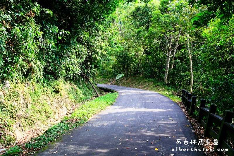 百吉林蔭步道．桃園大溪景點（充滿鳥鳴聲的好走平緩步道） @愛伯特