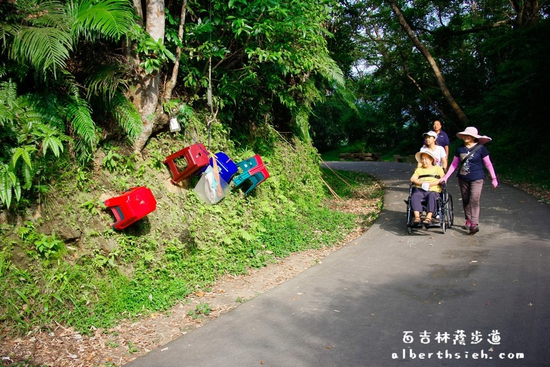 百吉林蔭步道．桃園大溪景點（充滿鳥鳴聲的好走平緩步道） @愛伯特