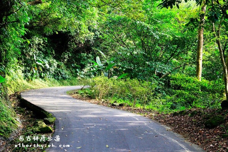 百吉林蔭步道．桃園大溪景點（充滿鳥鳴聲的好走平緩步道） @愛伯特