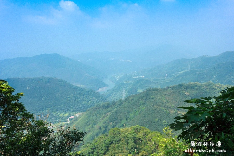 【嘎色鬧部落】桃園復興．箭竹林步道（生態植物以及狩獵體驗園區） @愛伯特