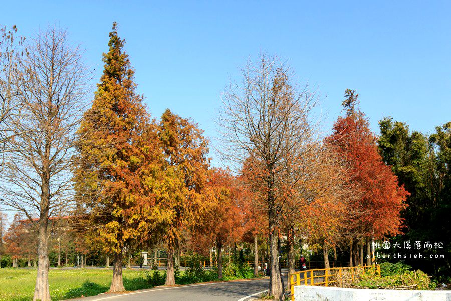 桃園一日遊．大溪旅遊景點完整攻略懶人包（公園草地/古蹟之旅/特色景觀/限定季節） @愛伯特