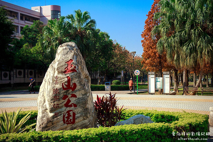 桃園落羽松推薦．玉山公園落羽松（桃園市區公園內的秋金黃冬褐紅林蔭大道） @愛伯特