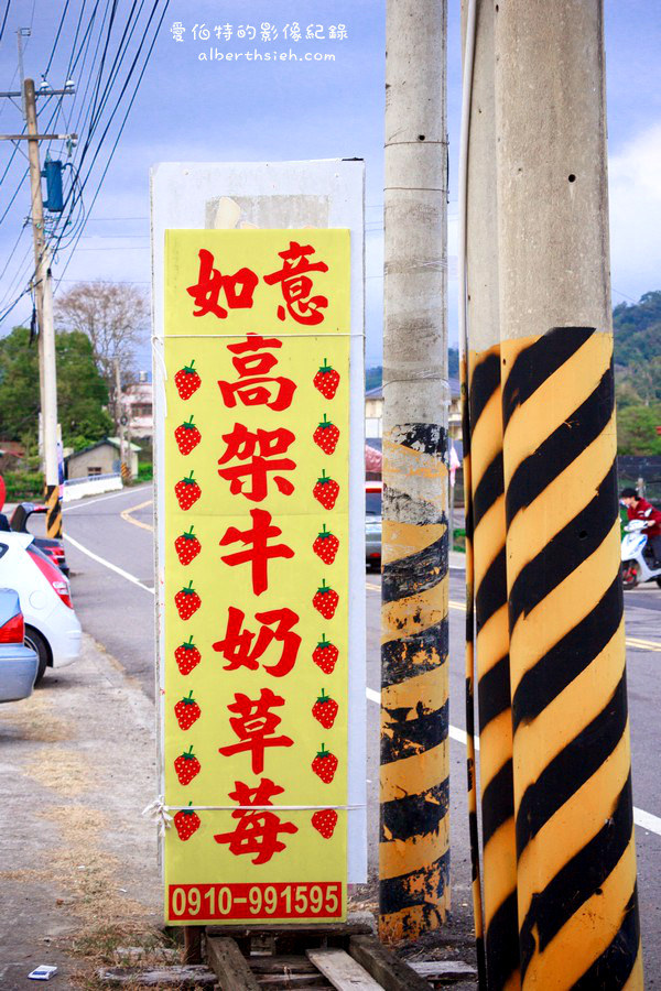 苗栗大湖．如意高架牛奶草莓（巴掌大的草莓飽水度跟口感超讚） @愛伯特