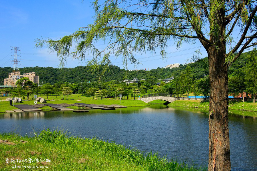 大溪河濱公園．桃園親子景點（兒童遊戲場/大草皮野餐/落羽松/自行車道） @愛伯特