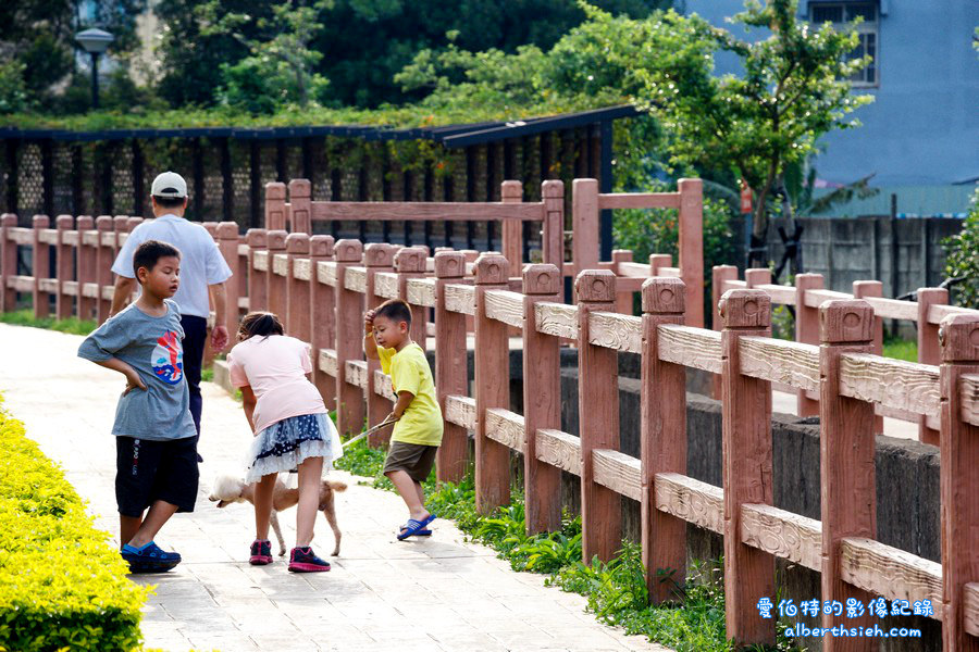 社子支渠流蘇步道．桃園平鎮景點（流蘇花&#038;麻葉繡球四月雪景觀步道） @愛伯特