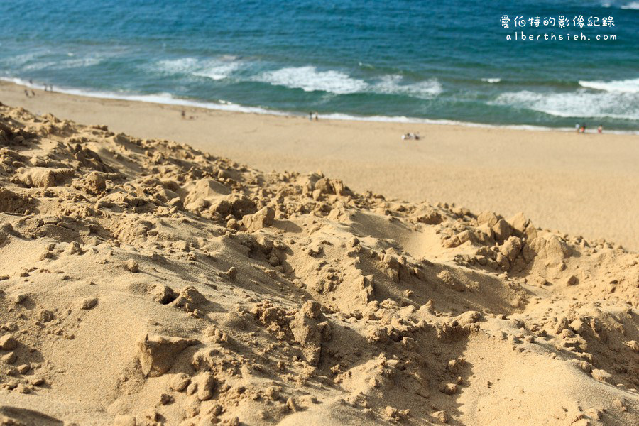 鳥取砂丘．鳥取景點自由行（令人嘆為觀止的大自然砂丘海岸） @愛伯特