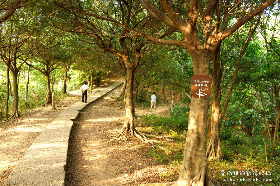 虎頭山公園．桃園親子景點（桃園的後花園運動健身賞桐花） @愛伯特