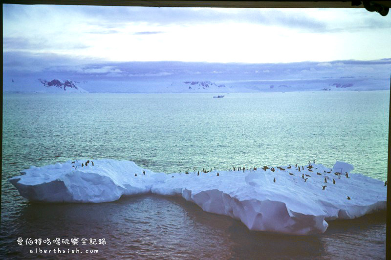 吉光旅遊．南極「極地探險 企鵝攝獵」旅遊講座（一生中一定要來的地方！） @愛伯特