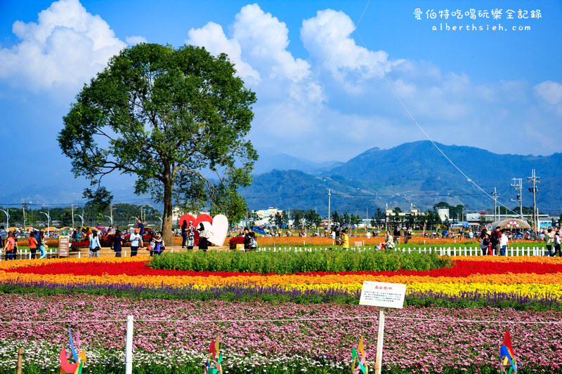 2015台中新社花海&#038;國際花毯節（數大便是美，壯觀繽紛的美麗花海） @愛伯特