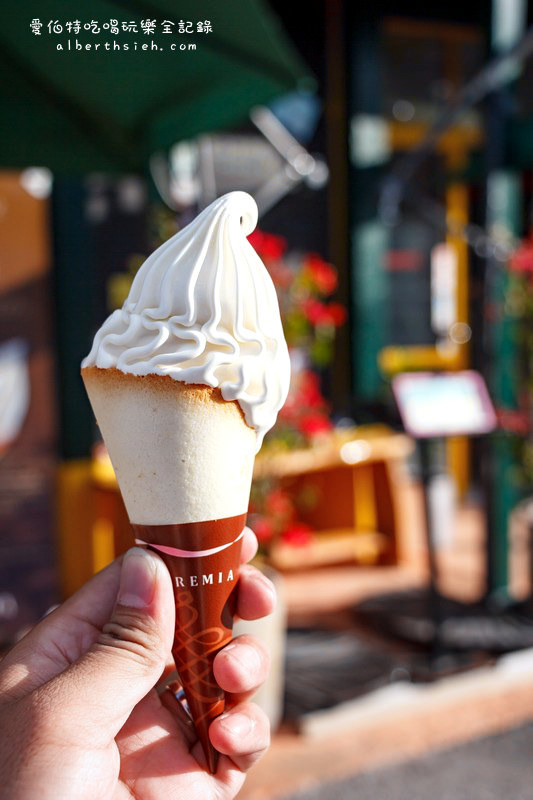 '沖繩自駕自由行．備瀨樹蔭林道