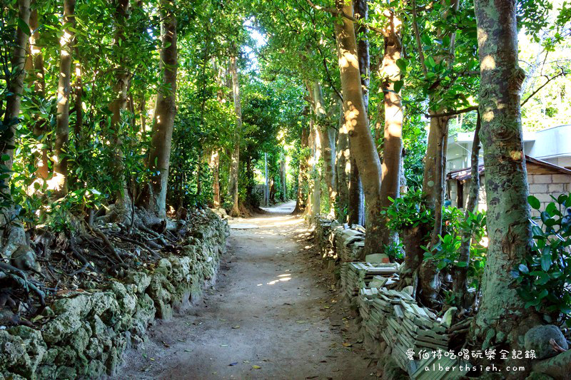 '沖繩自駕自由行．備瀨樹蔭林道