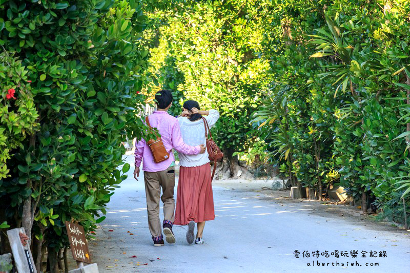 '沖繩自駕自由行．備瀨樹蔭林道