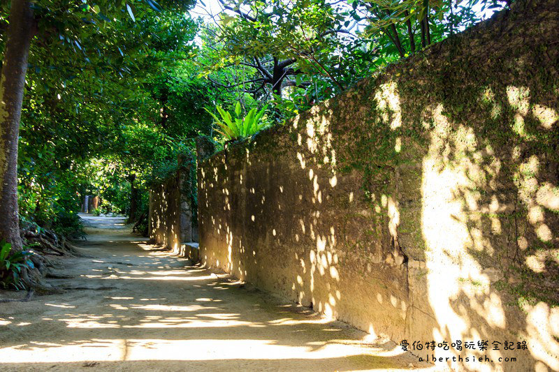 '沖繩自駕自由行．備瀨樹蔭林道