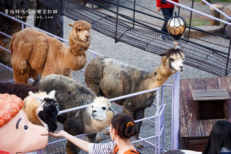 南投市．星月天空（賞夕陽夜景的猴探井親子互動園區） @愛伯特