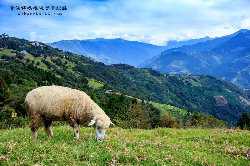 清境農場．南投仁愛景點（山景秀麗以及必看的綿羊秀和馬術秀） @愛伯特