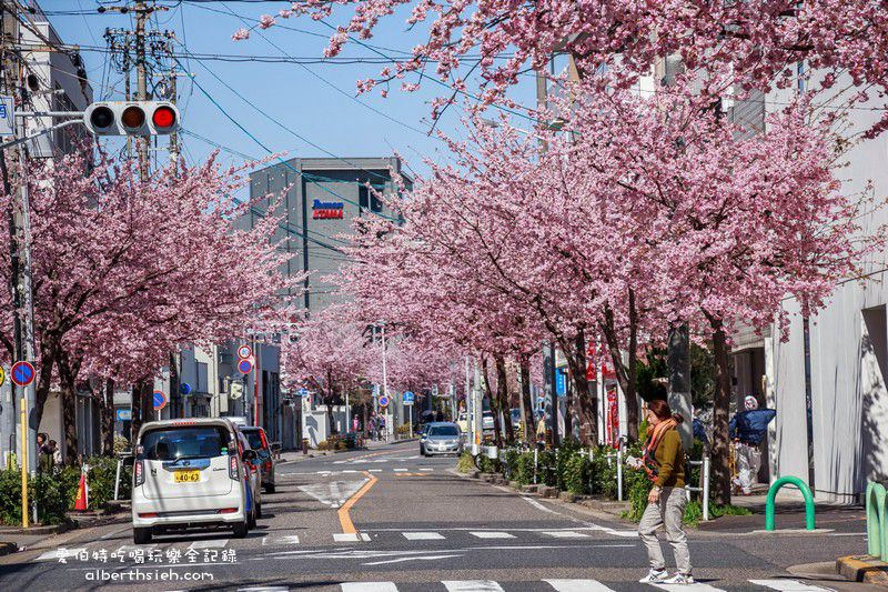 名古屋櫻花．地鐵高岳站泉二丁目（賞櫻之幸福櫻花大道） @愛伯特