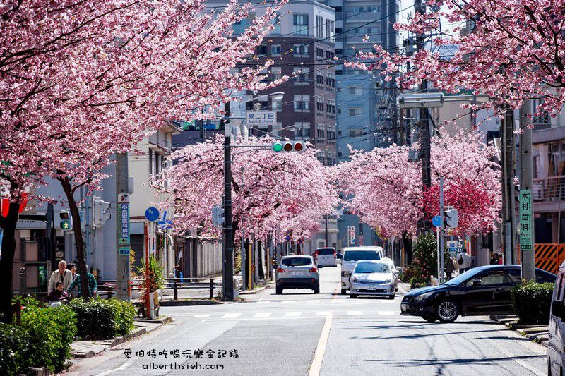 名古屋櫻花．地鐵高岳站泉二丁目（賞櫻之幸福櫻花大道） @愛伯特