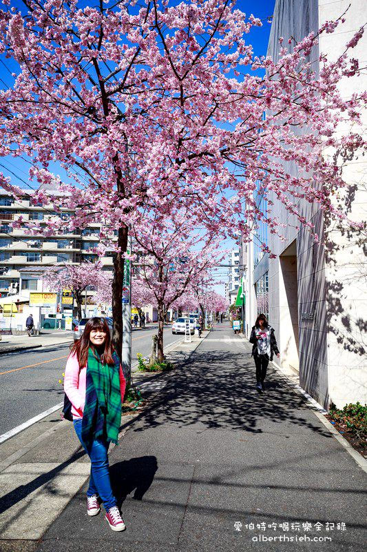 名古屋櫻花．地鐵高岳站泉二丁目（賞櫻之幸福櫻花大道） @愛伯特