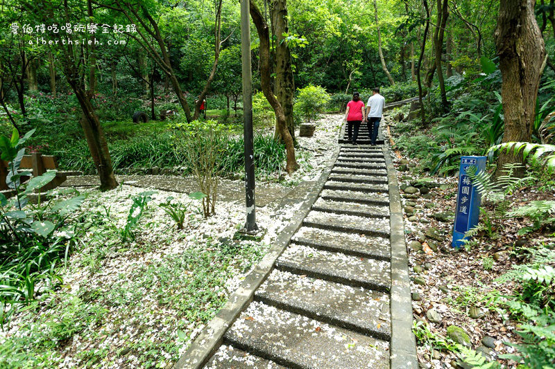 虎頭山公園．桃園親子景點（桃園的後花園運動健身賞桐花） @愛伯特