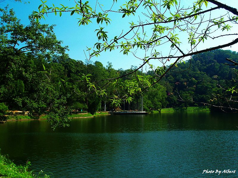 後慈湖．桃園大溪景點（神秘的祕境之南） @愛伯特