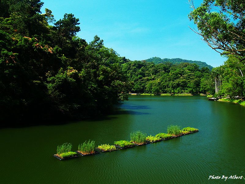 後慈湖．桃園大溪景點（神秘的祕境之南） @愛伯特