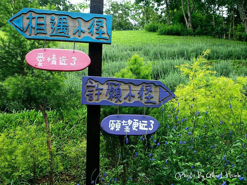 苗栗頭屋．薰衣草森林（充滿愛情與幸福的地方） @愛伯特