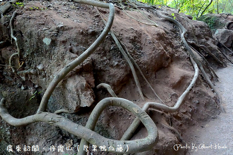 丹霞山(長老峰景區)．廣東景點（世界自然遺產我來啦） @愛伯特