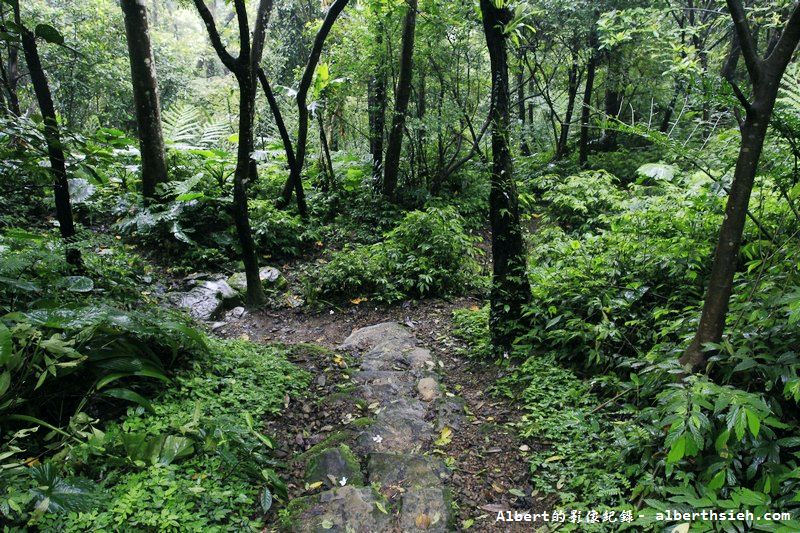 大艽芎古道．桃園大溪景點（綠意盎然的石階古道） @愛伯特