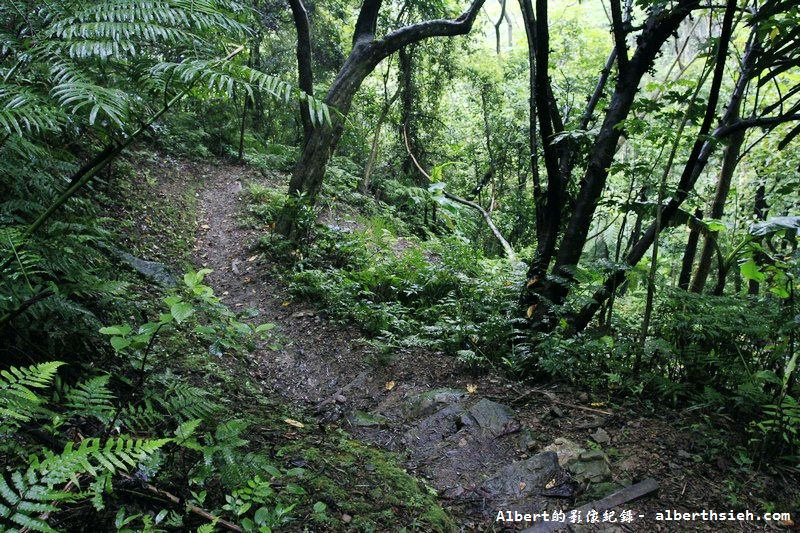 大艽芎古道．桃園大溪景點（綠意盎然的石階古道） @愛伯特