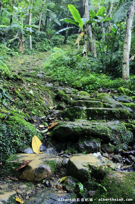 大艽芎古道．桃園大溪景點（綠意盎然的石階古道） @愛伯特