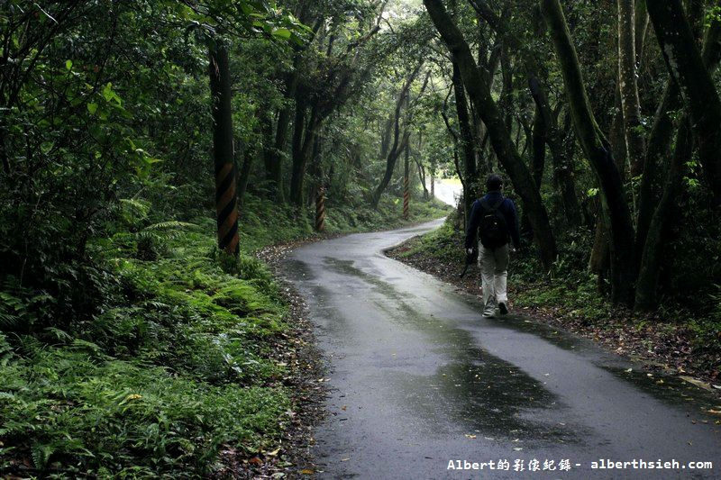 大艽芎古道．桃園大溪景點（綠意盎然的石階古道） @愛伯特